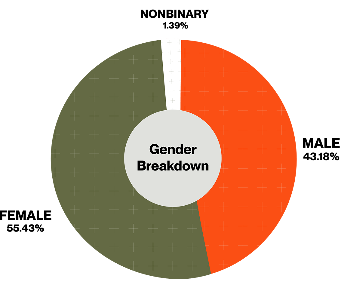 22-dei-ethnicity-chart-l_pie.png