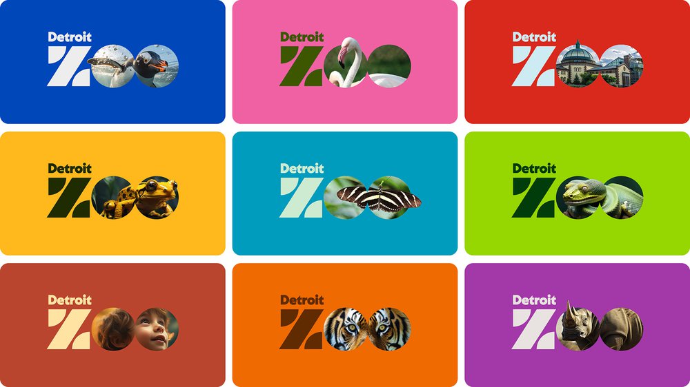 DZ_CaseStudy_Carousel-1600x900_REV3.jpg