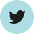 Twitter logo hover